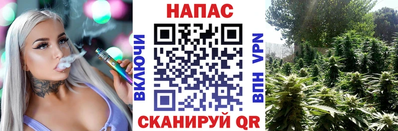 Шишки марихуана индика  цена   Дмитриев 